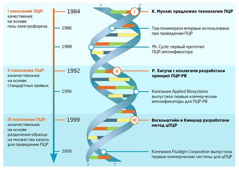 Влияние стадии инфекции на результат ПЦР-теста