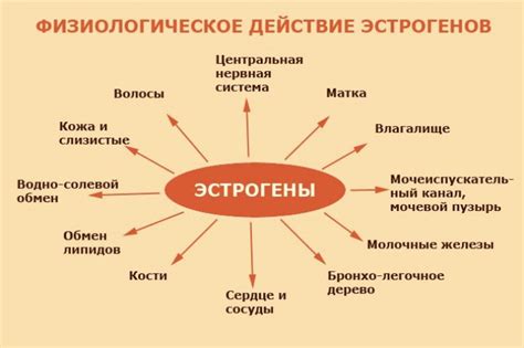 Влияние стиля жизни на уровень вредного эстрогена