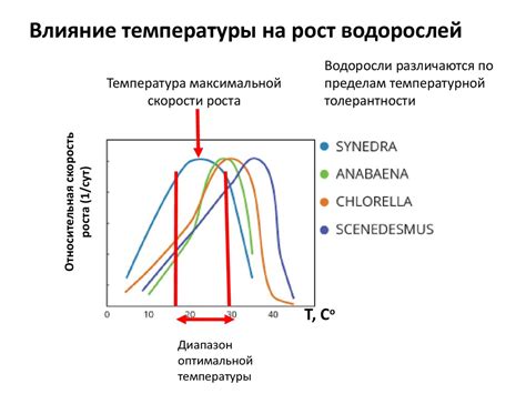 Влияние температуры на кровоток