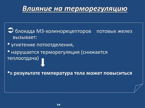 Влияние теплоемкости на терморегуляцию