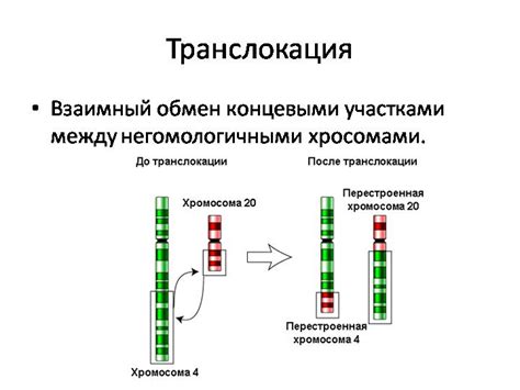 Влияние транслокации гена ROS1 на онкогенез