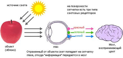 Влияние троичности на мышление и восприятие