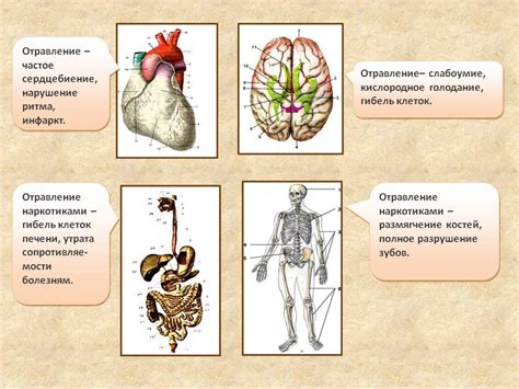 Влияние тэхи на организм