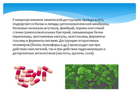 Влияние факторов на наступление эметических симптомов в ночное время