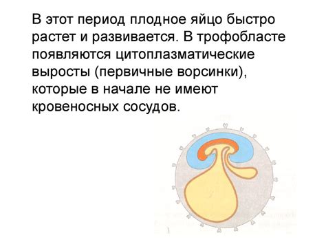 Влияние факторов окружающей среды на образование плодового тела