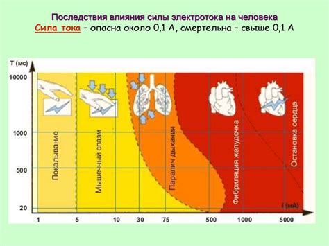 Влияние физического действия на организм человека