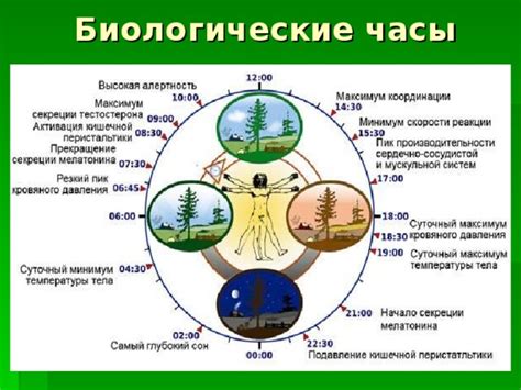 Влияние щербатости на жизнь человека