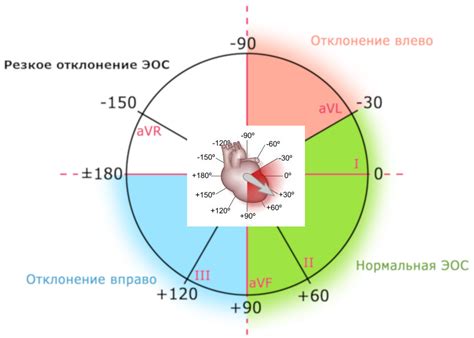 Влияние электрической оси сердца полувертикальной на сердечную деятельность