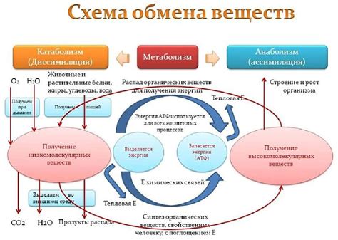 Влияние энергии с минусом на образование веществ