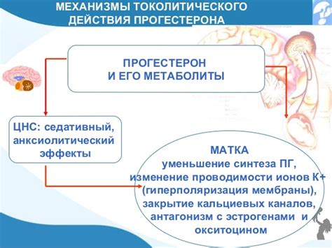 Влияние эстрогенов и прогестерона