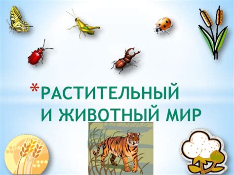 Влияние 1 мм осадков на растительный и животный мир