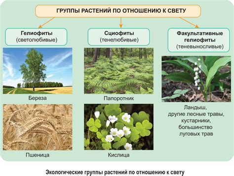 Внутренняя Монголия в Китае: особенности региона