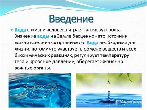 Вода как ресурс: роль и значение в практической деятельности