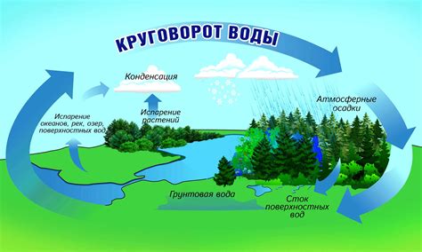 Вода - основной круговорот природы