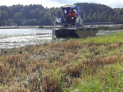 Водные объекты рыбохозяйственного значения