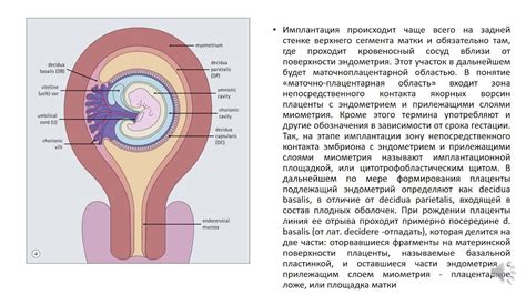 Воздействие внешних факторов на плодное яйцо