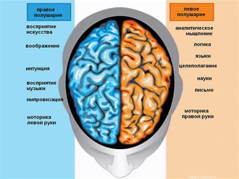 Воздействие местного холода на мозг и нервную систему