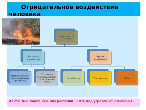 Воздействие неподходящего по типажу человека на окружающих