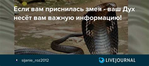 Воздействие появления двигающейся змеи во сне на замужнюю женщину