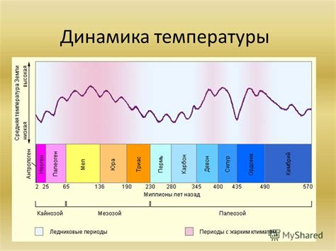 Воздействие температуры на рост теста