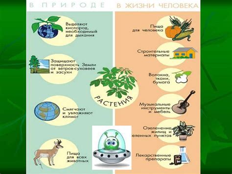 Возможное значение поливания растений на захоронении в сновидении