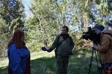 Возможности и преимущества ништадтского мира для пользователей