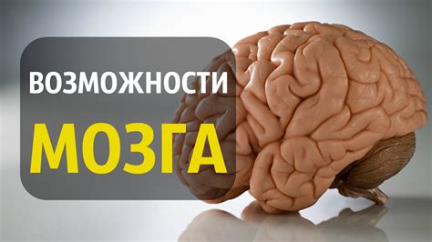 Возможности и применение компостированного мозга