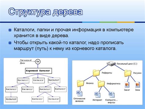 Возможности организации папок в файловой системе