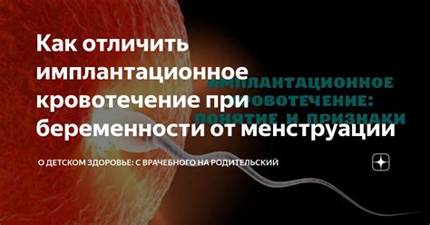 Возможность беременности при однодневной менструации