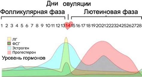 Возможные нарушения нормоспермии и их последствия