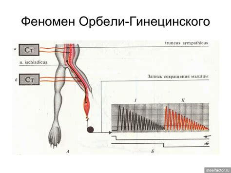 Возможные осложнения при пониженном тонусе симпатической нервной системы