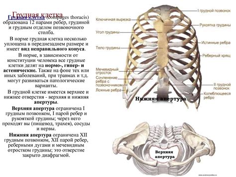 Возможные осложнения эностоза ребра