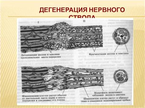 Возможные последствия истончения хрящевой ткани