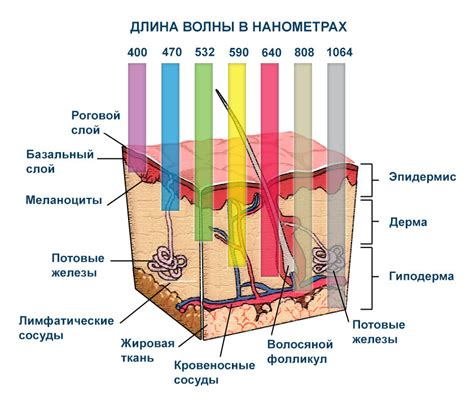 Возможные последствия окисления серебра и его воздействие на кожу человека