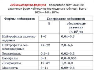 Возможные последствия отсутствия базофилов у взрослого