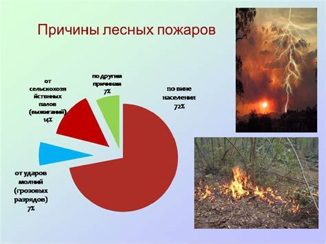 Возможные последствия природных пожаров