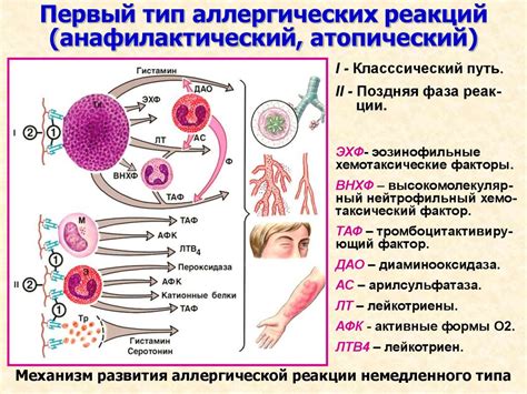 Возможные проявления и лечение аллергической реакции на 2 IgE gp3