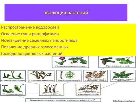 Возникновение в процессе эволюции