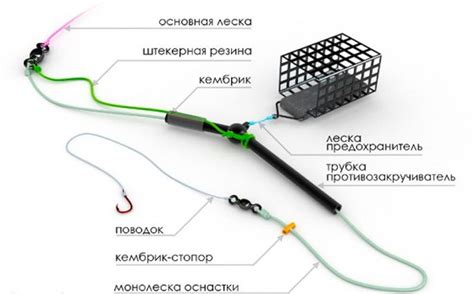 Возникновение и развитие фидерной рыбалки