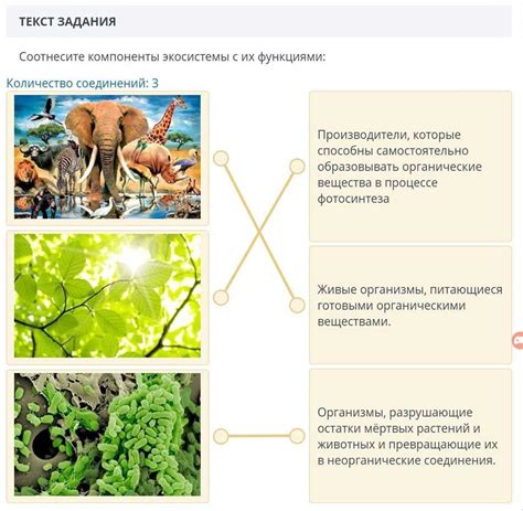 Вол и бык: роль в экосистеме