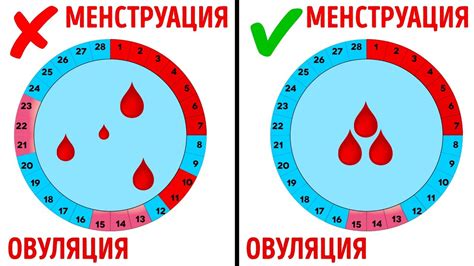 Вопрос: На какой день начинать считать месячные?