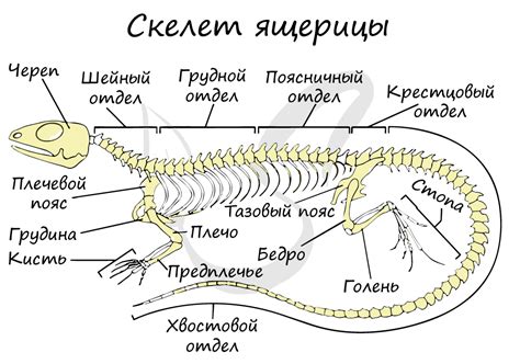 Вороньи кости в современном контексте