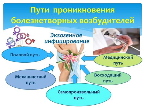 Воспаление органов репродуктивной системы