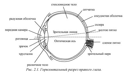 Восьмиэлектронная оболочка: определение и свойства