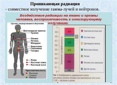 Вредность и возможные последствия парнейских кусаний