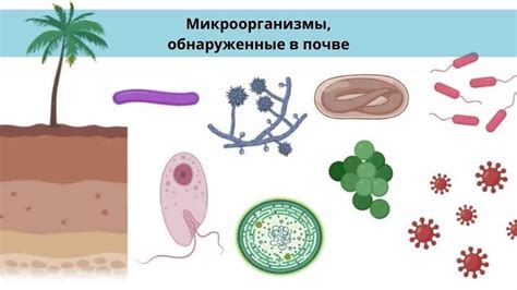 Вредные микроорганизмы, попавшие в место укола