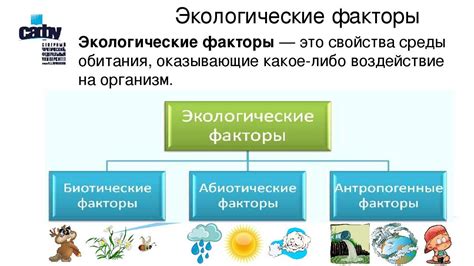 Вредные факторы окружающей среды