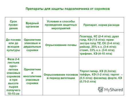 Время и условия разрядки всходов