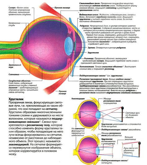 Врожденные дефекты глазного аппарата