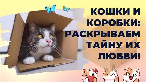 Вся правда о кошках